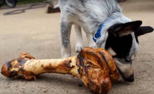which bones are safe for dogs