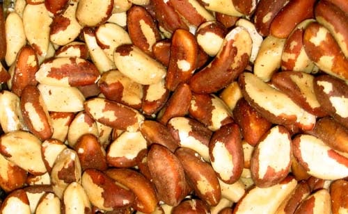Can dogs eat brazil nuts