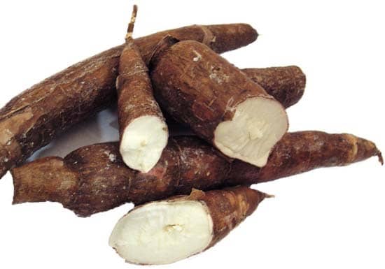 Can dogs eat cassava
