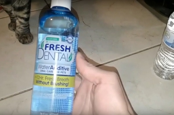 Best dog dental water additive