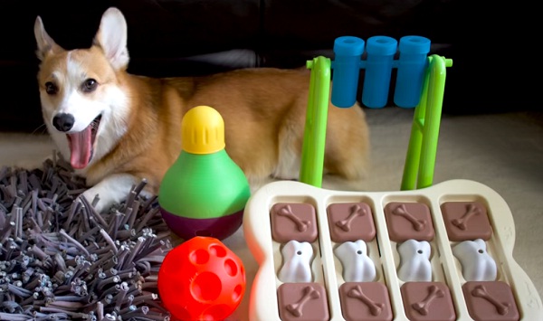 toys to keep dogs busy