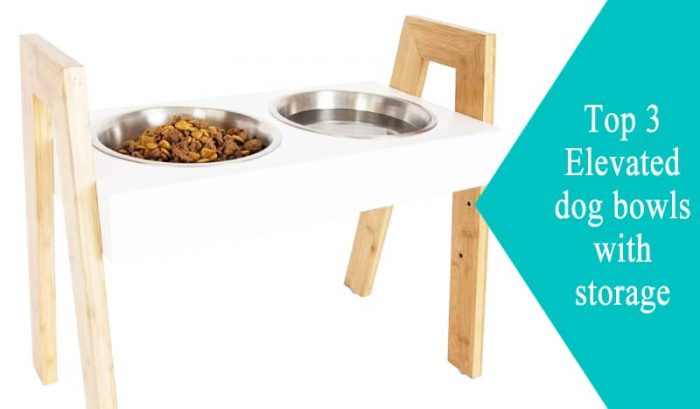 Elevated dog bowls with storage