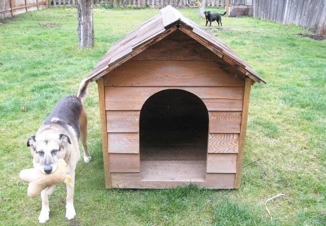 best dog houses for gardens